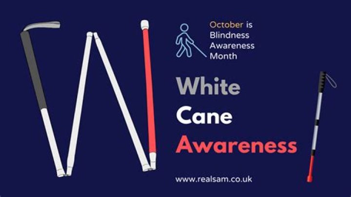 What does a white cane mean