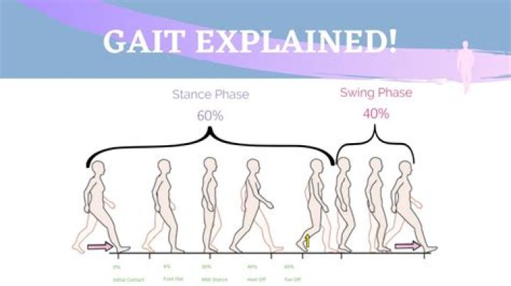 What does a wide gait mean