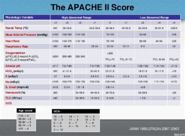 What does Apache score mean