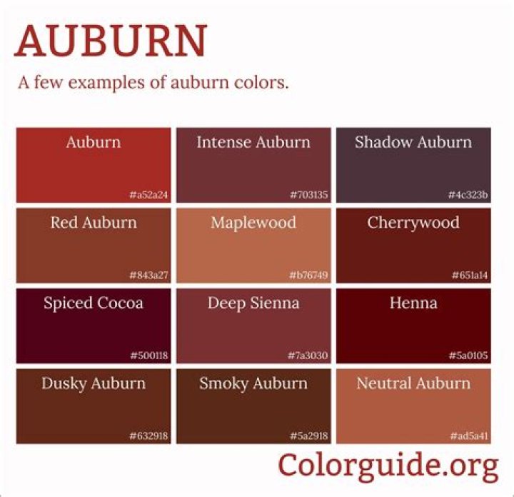 What does Auburn name mean
