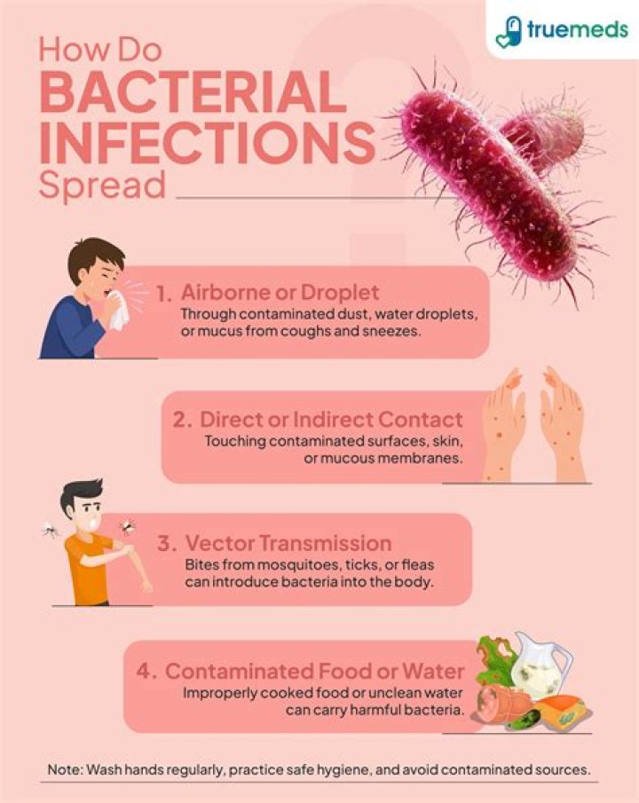 What does Bacteroides cause