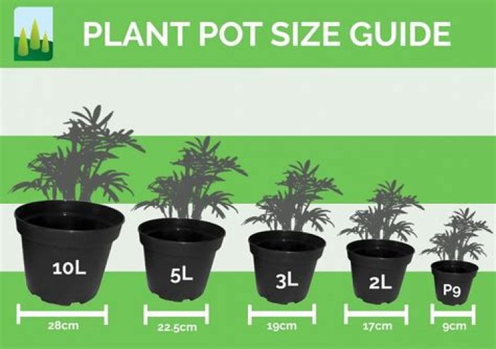 What does being potted mean