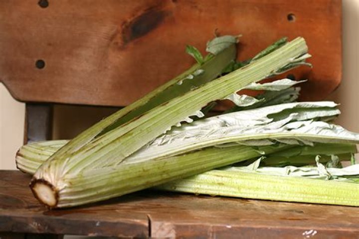 What does cardoon look like