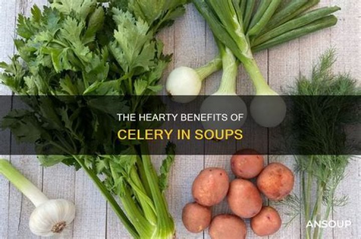 What does celery do in soup