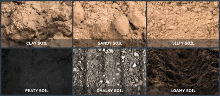 What does chalky soil mean