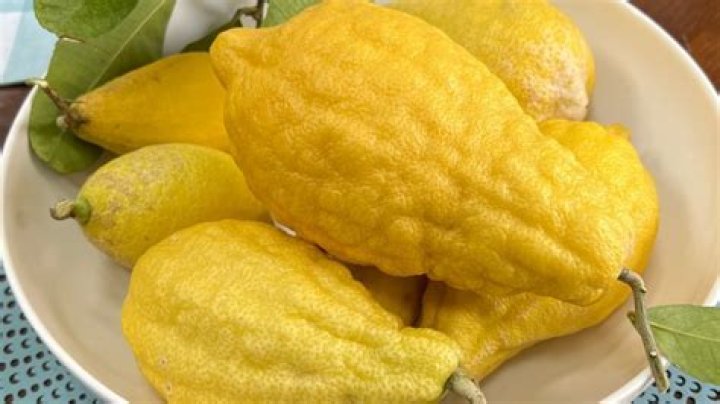 What does Citron taste like