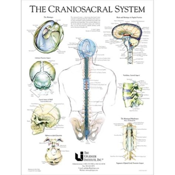 What does Craniosacral mean