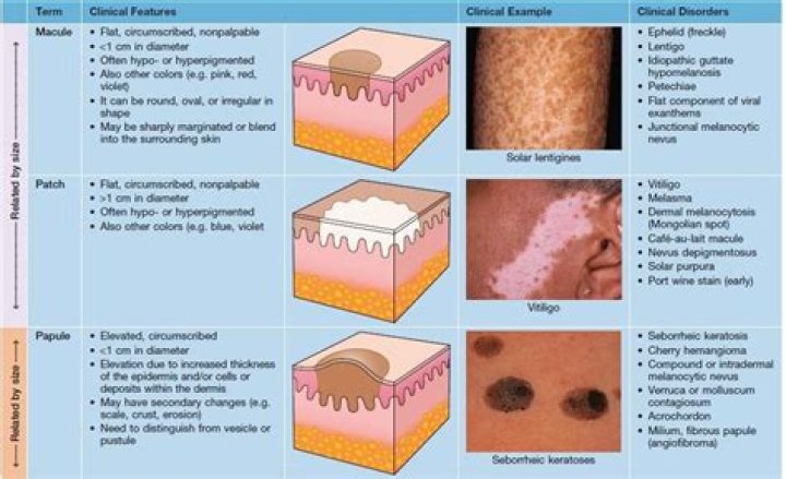 What does dermatologic mean