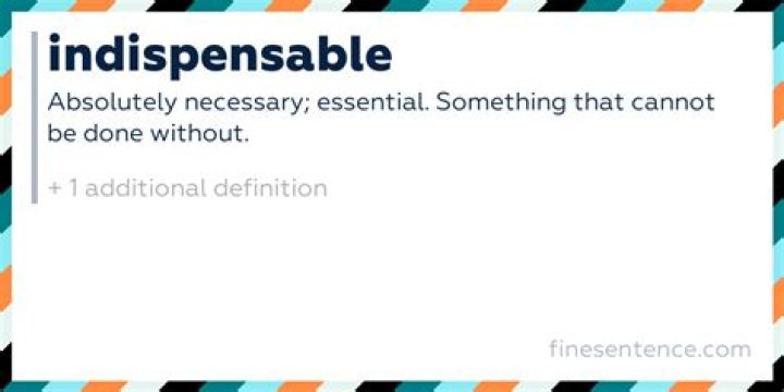 What does every indispensable means mean