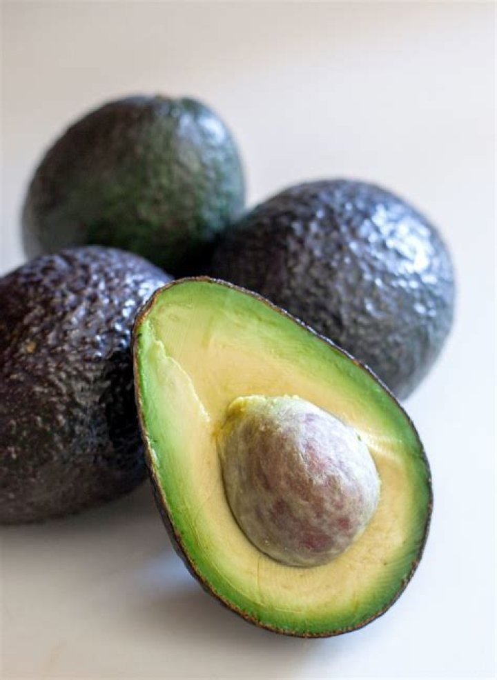 What does Freshavocado mean