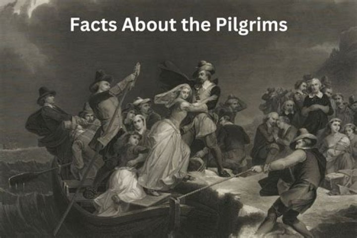 What does good pilgrim mean