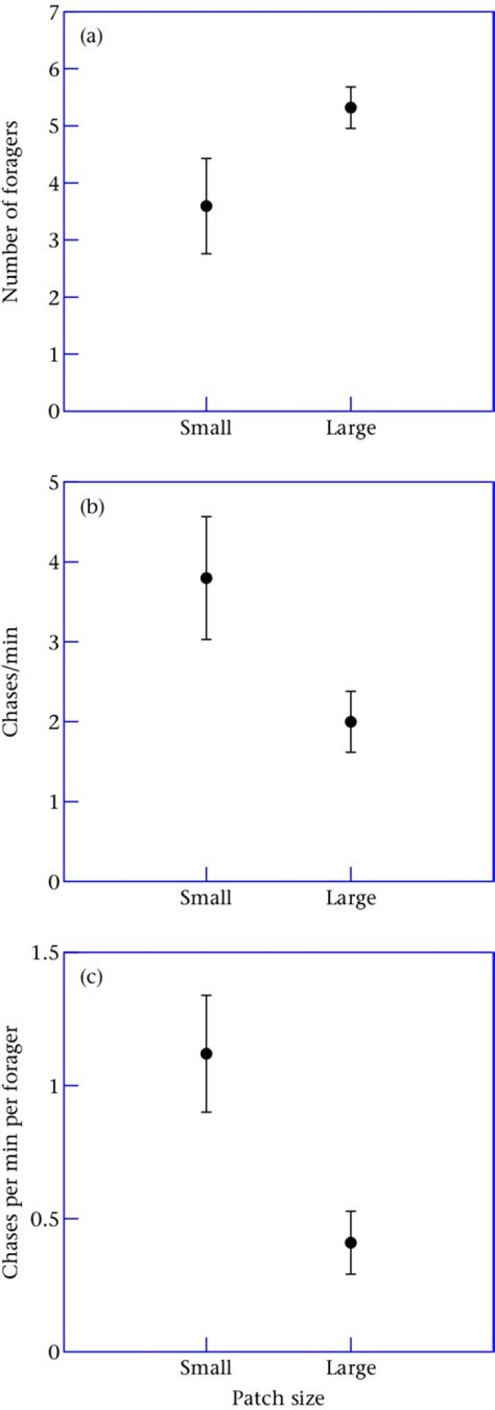 What does GSE mean in math