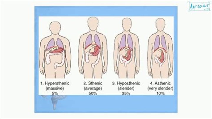 What does Hypersthenic mean