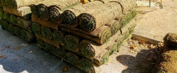 What does instant lawn cost