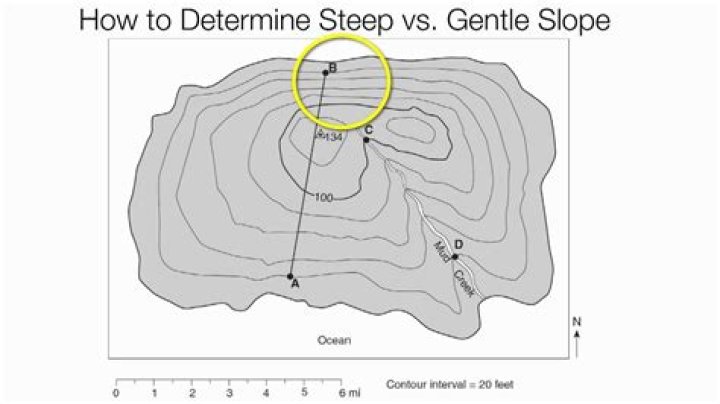 What does let it steep mean