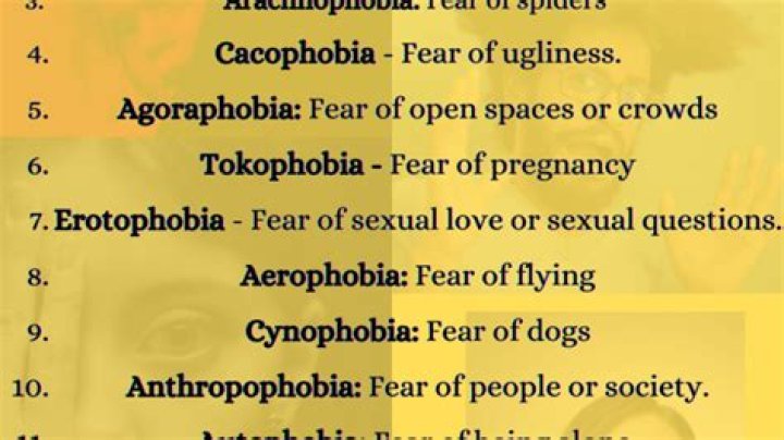What does meta phobia mean