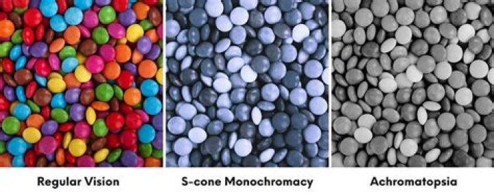 What does Monochromacy mean