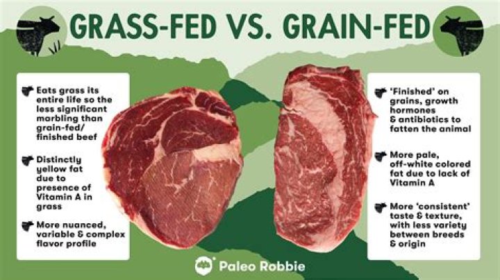 What does natural meat mean