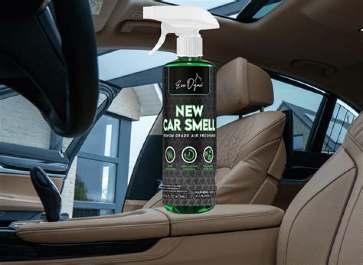 What does new car smell like