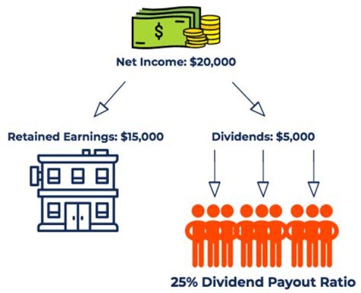 What does payout ratio mean