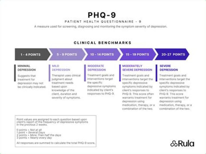 What does PHQ-9 score mean