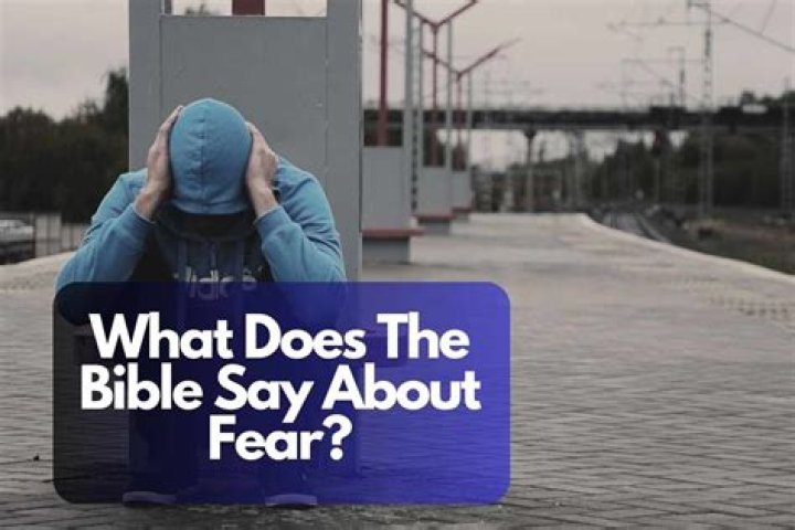 What does Pi say about fear