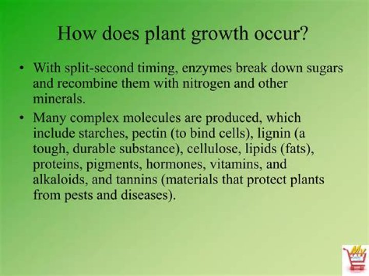 What does plant growth mean