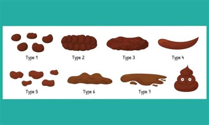What does poo poo look like
