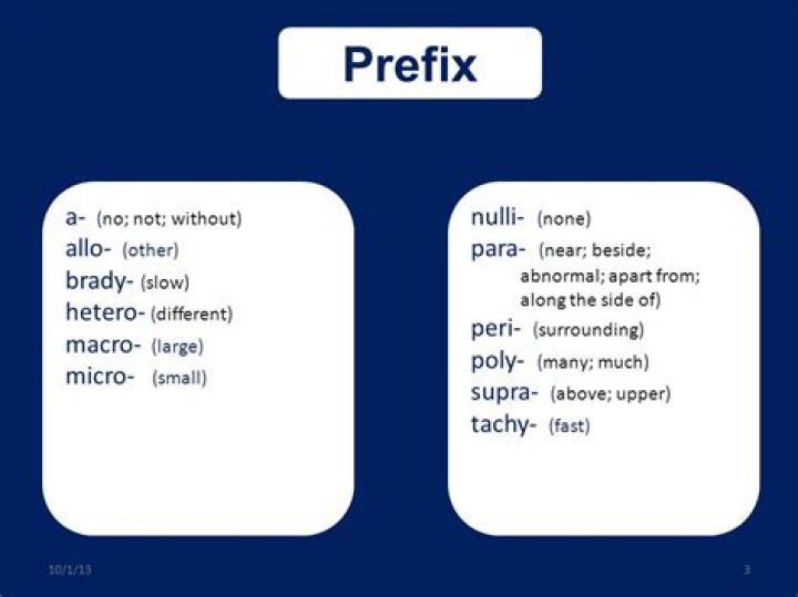 What does prefix peri mean