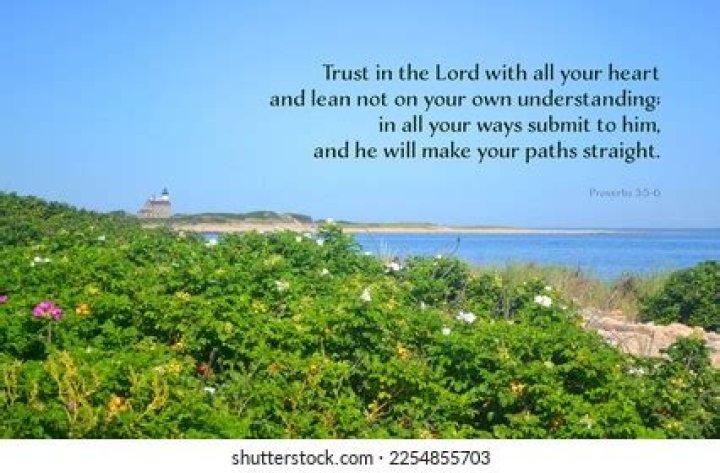 What does Proverbs 356 say