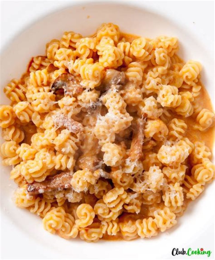 What does Radiatore pasta look like