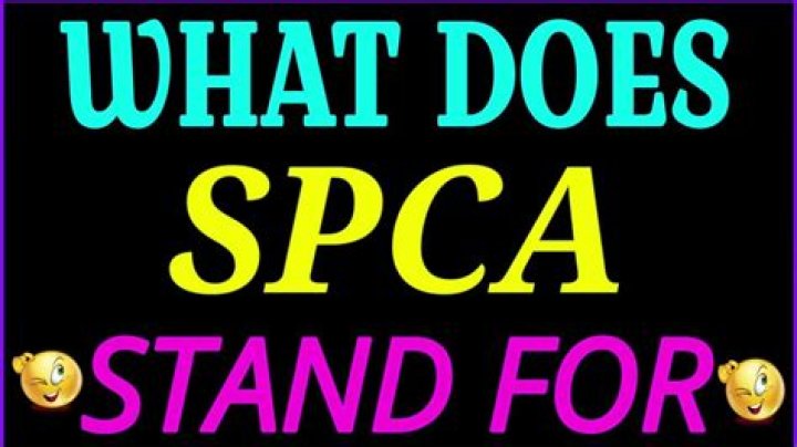 What does SF SPCA Stand For