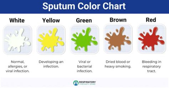 What does sputum color mean