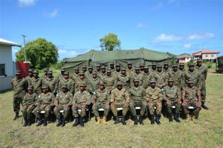 What does SSU mean military