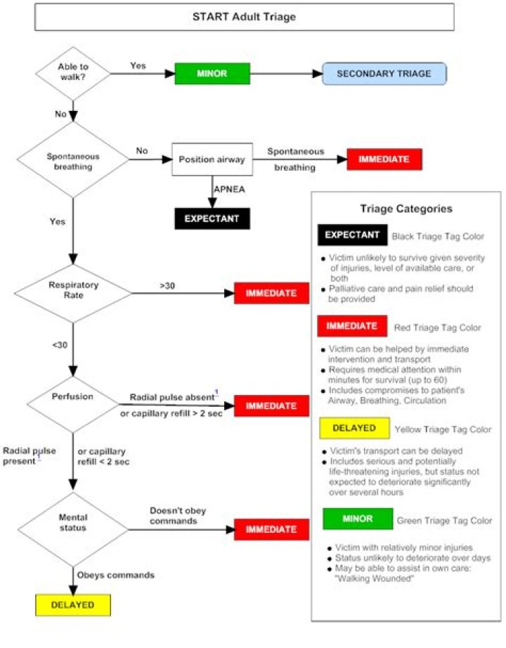 What does start triage mean