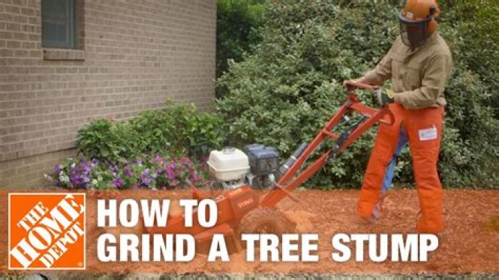 What does stump grinding do