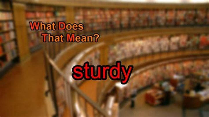 What does sturdy Mean Mean