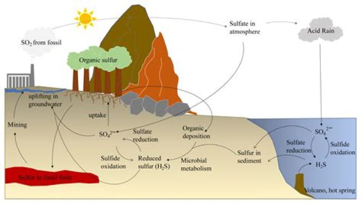 What does sulfur do to soil