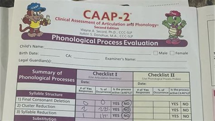 What does the CAAP 2 assess