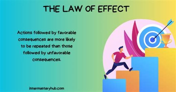 What does the law of effect state