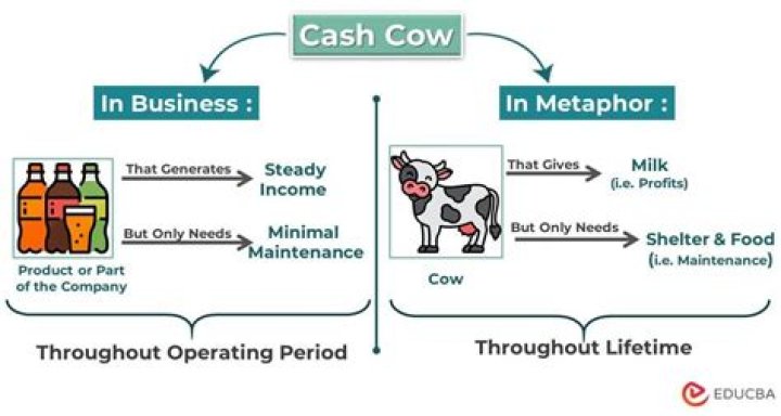 What does the phrase cash cow mean
