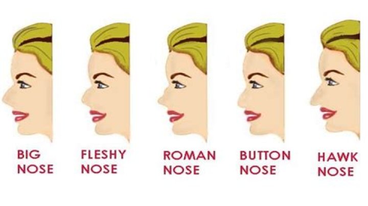 What does the Red Nose mean