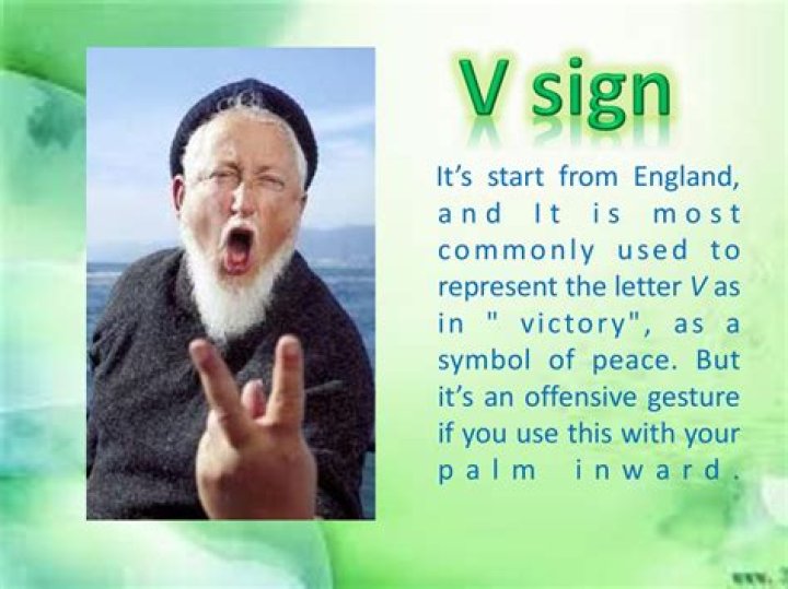 What does the V stands for