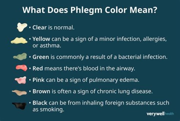 What does thick green phlegm mean