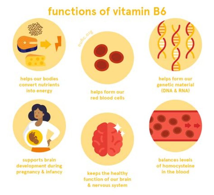 What does vitamin b6 do for fertility
