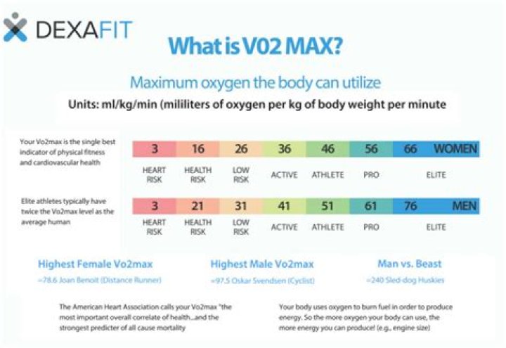 What does VO2 max tell you