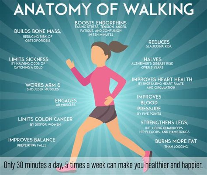 What does walking tall mean