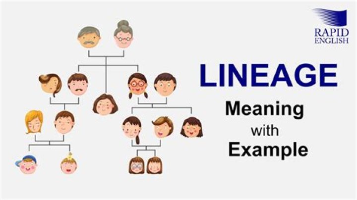 What does your lineage mean