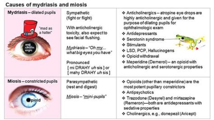 What drugs can cause Miosis