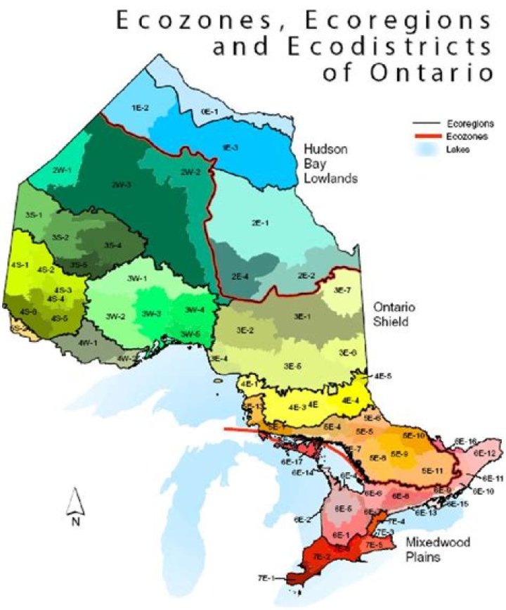What ecozone is Ontario in